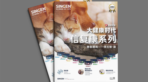 宣傳冊制作創意文案怎么寫